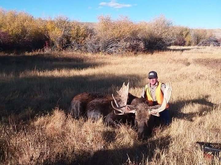 Wyoming Moose Hunting Guided Shiras Moose Hunts in WY